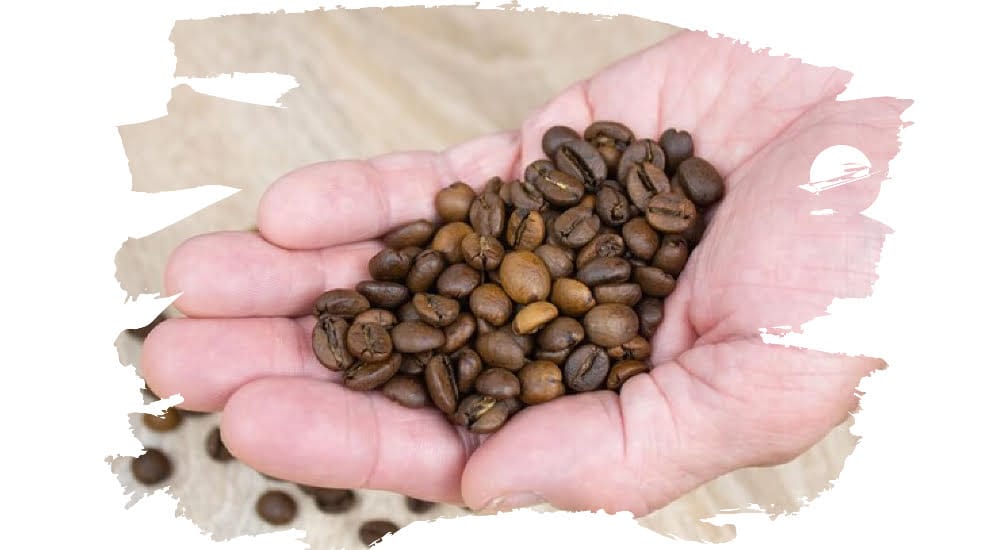 Use Good Quality Coffee Beans In Your French Press