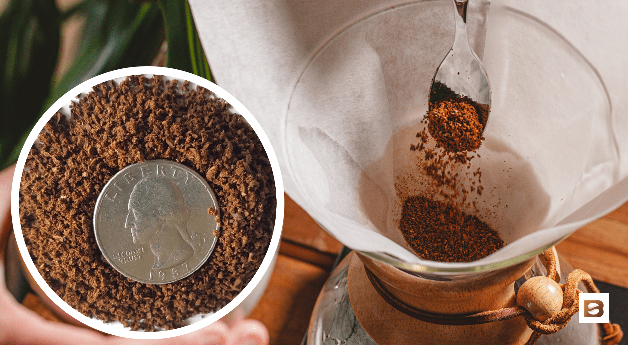 best grind for chemex