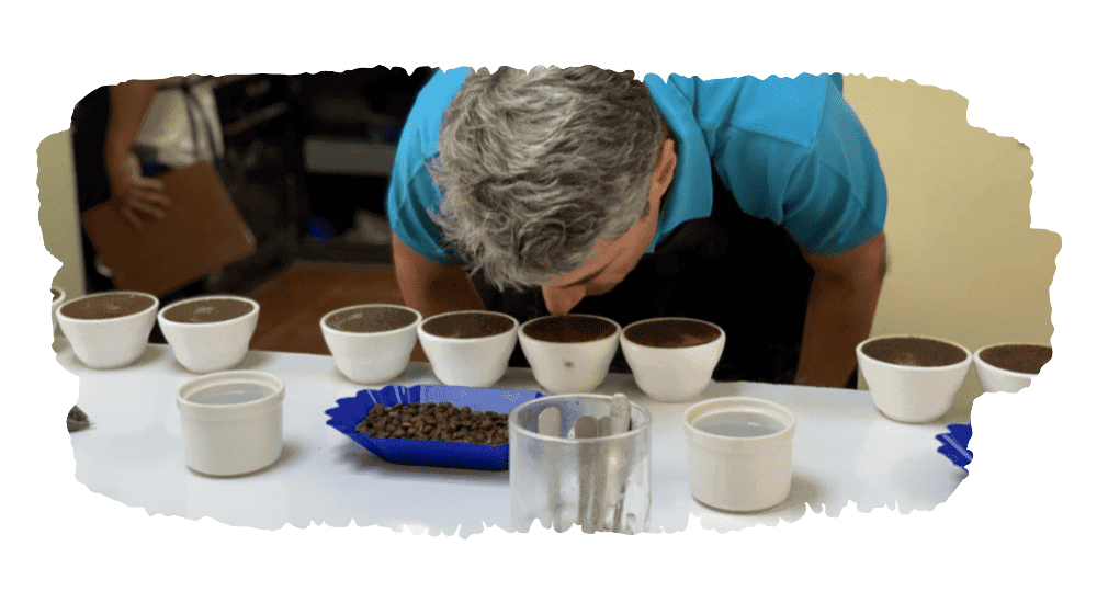 coffee cupping cup quality