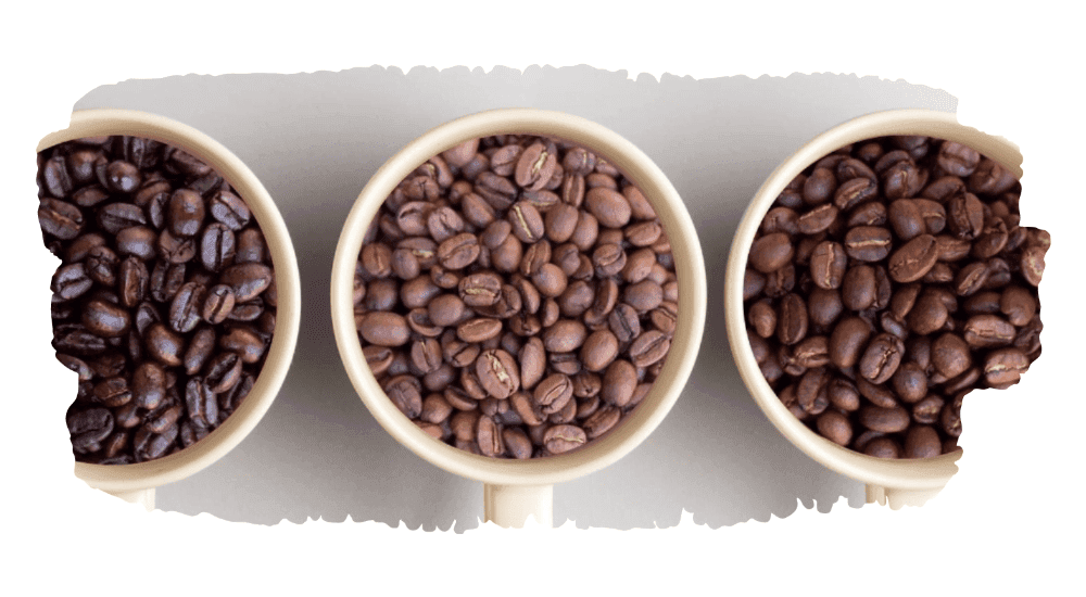 water temp and different roast coffees