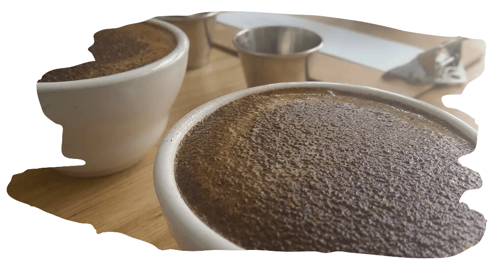 cupping with others cupping protocol 