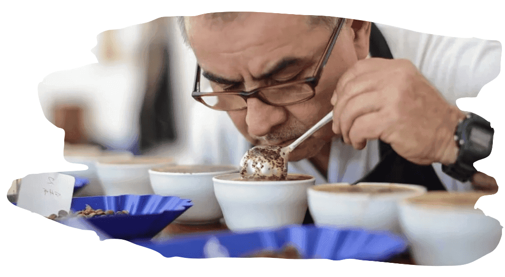 guide to cupping coffee 