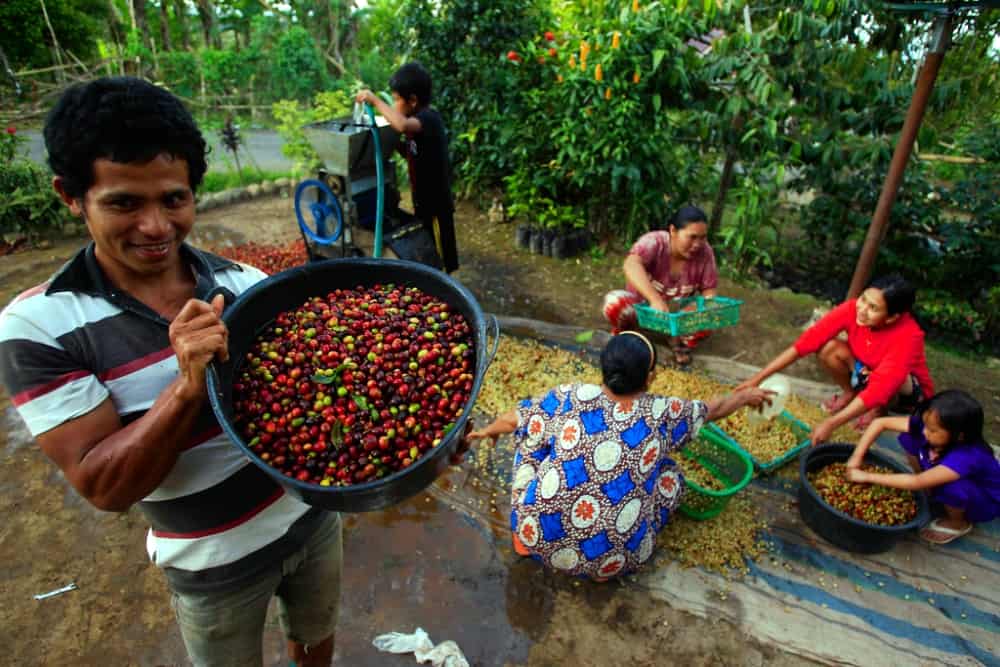 many different types of coffee