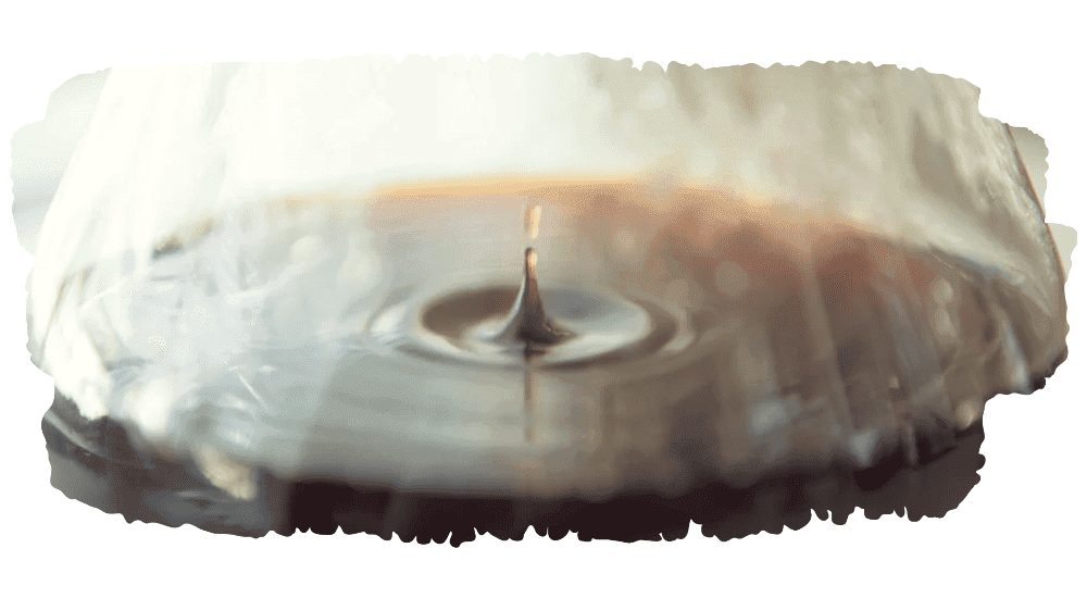 are you supposed to wet the coffee filter