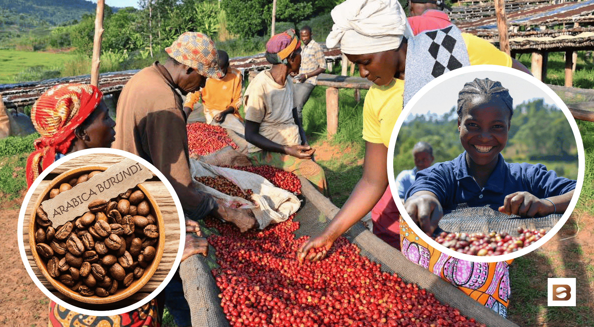 burundi coffee