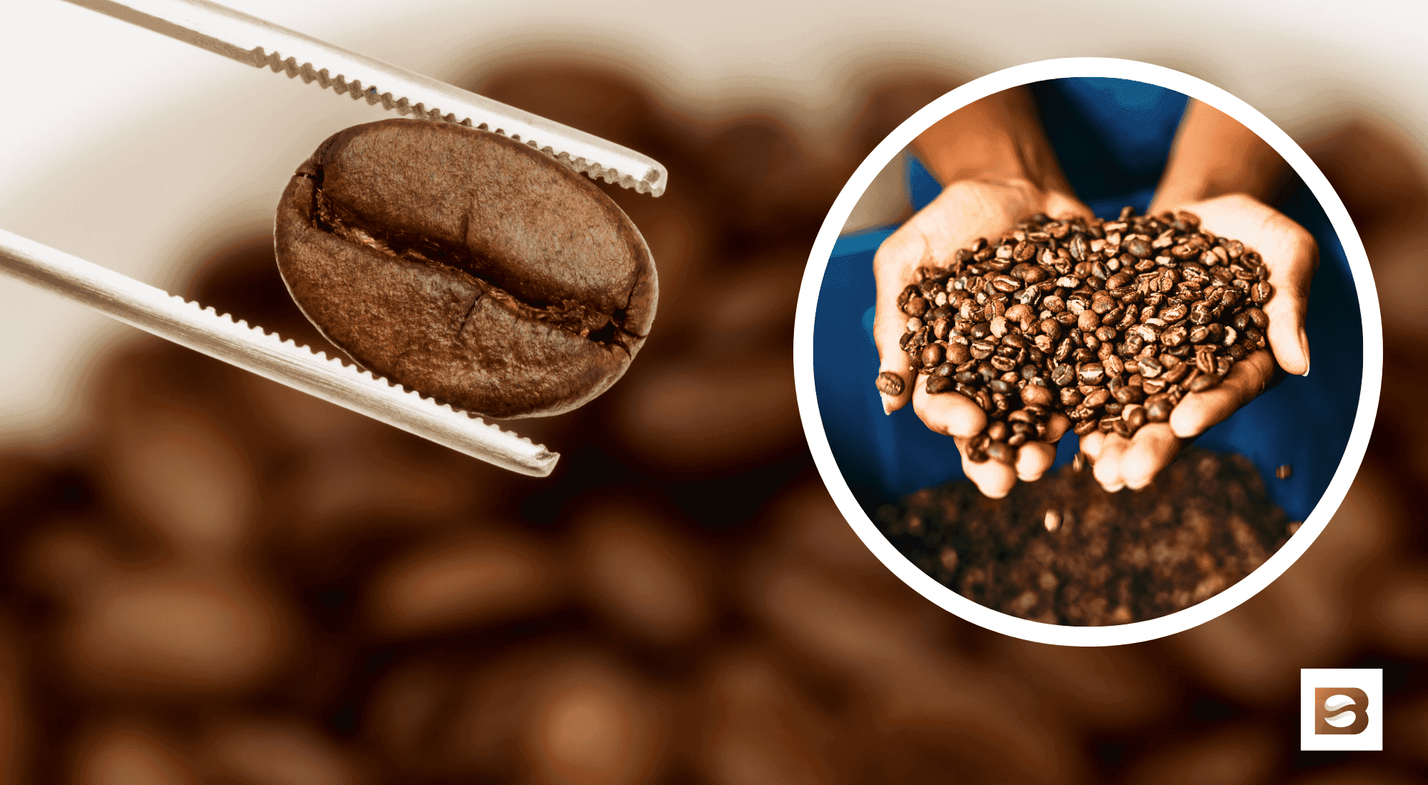 Common Mistakes to Avoid When Roasting Coffee