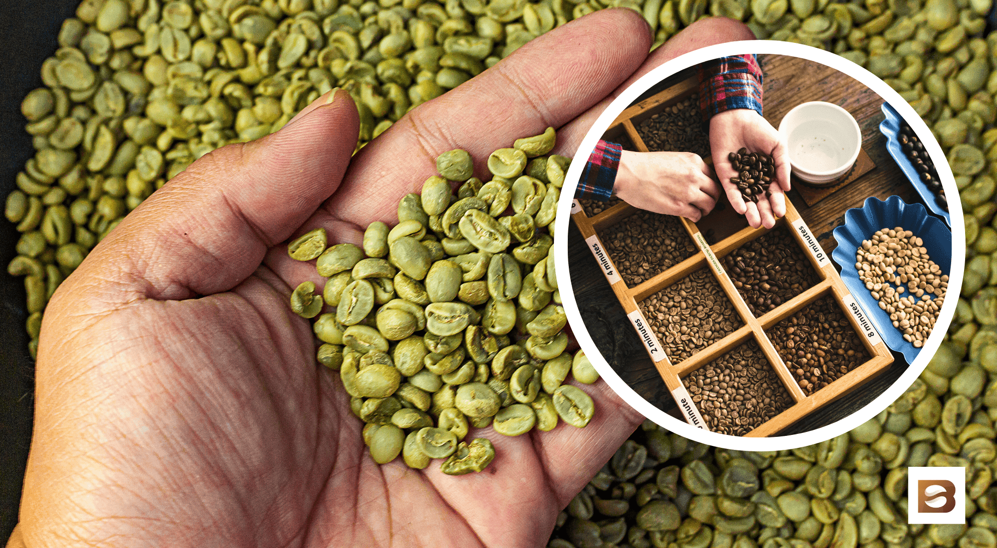 roasting Green Coffee Beans advice