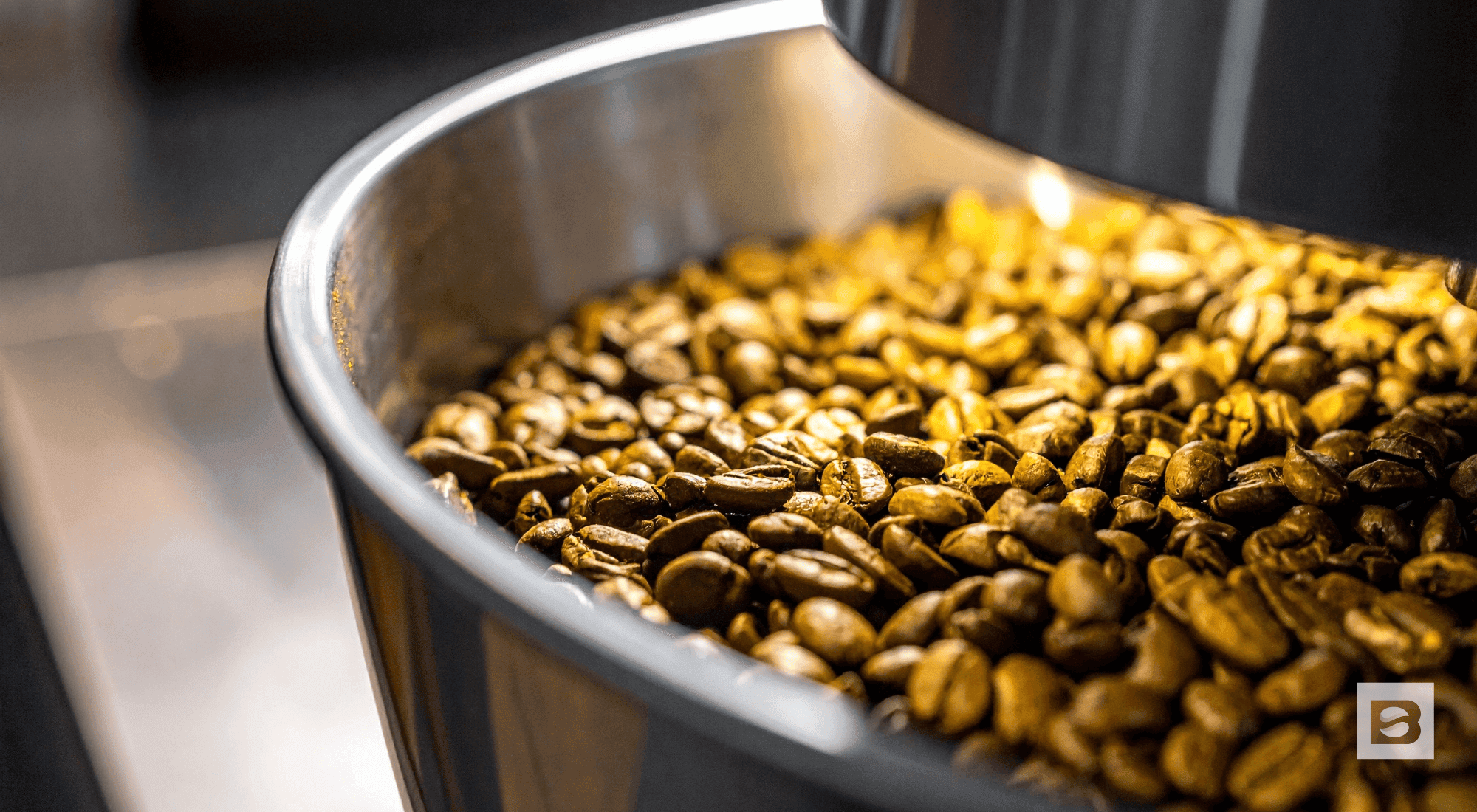 blonde roast vs. dark roast