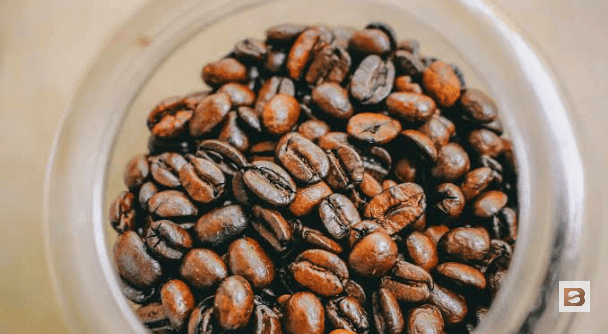 how to tell if coffee beans are old