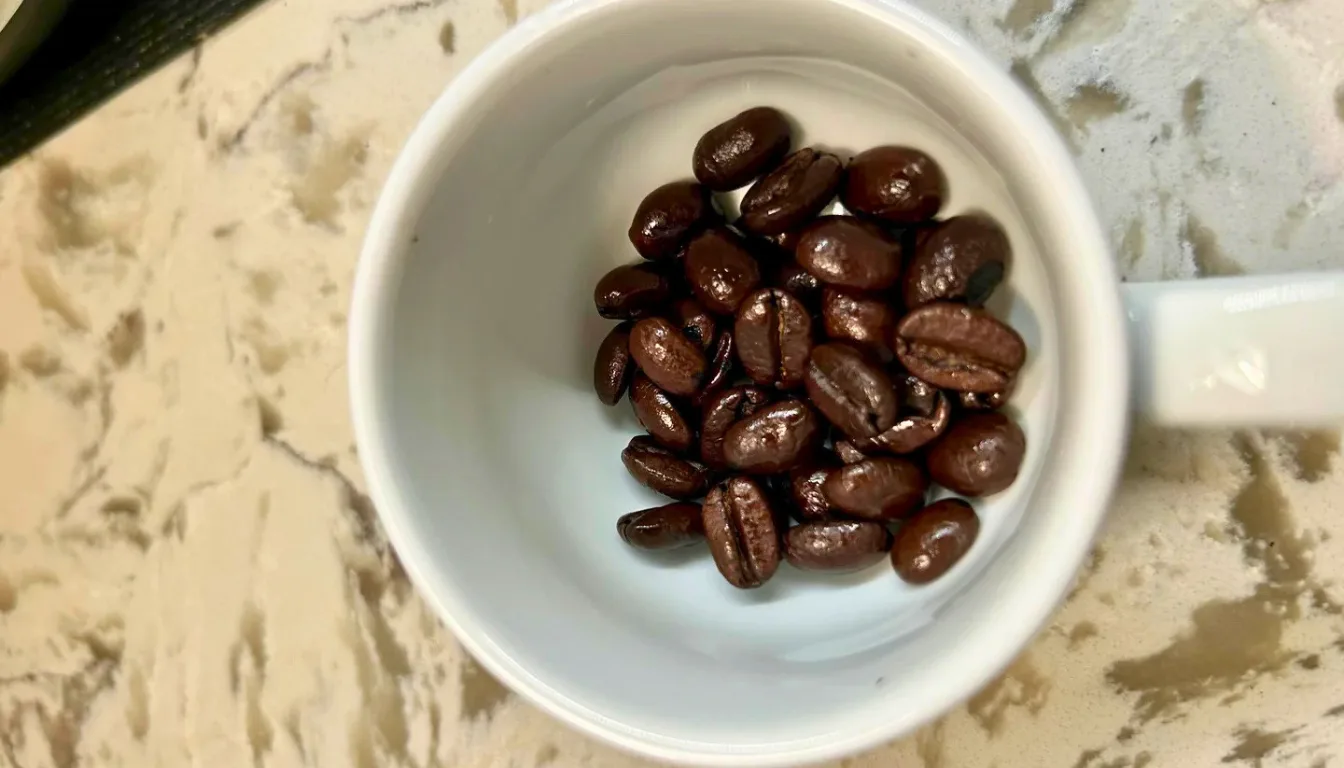 Does Oily Coffee Mean Fresh