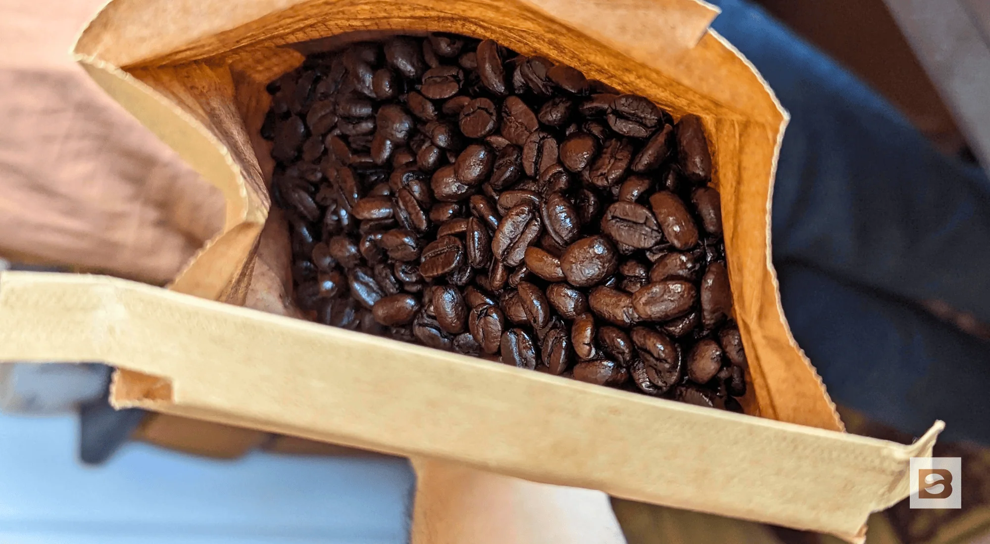 Is oily coffee a sign of quality?