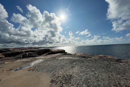 Havskust