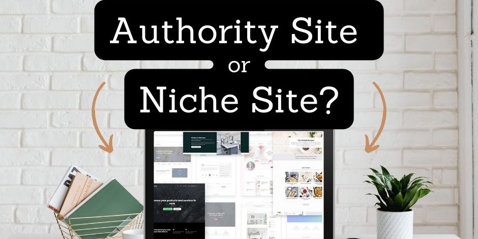 Authority Site or Niche Website