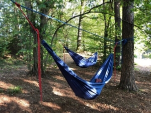 Mittagsruhe im Wald