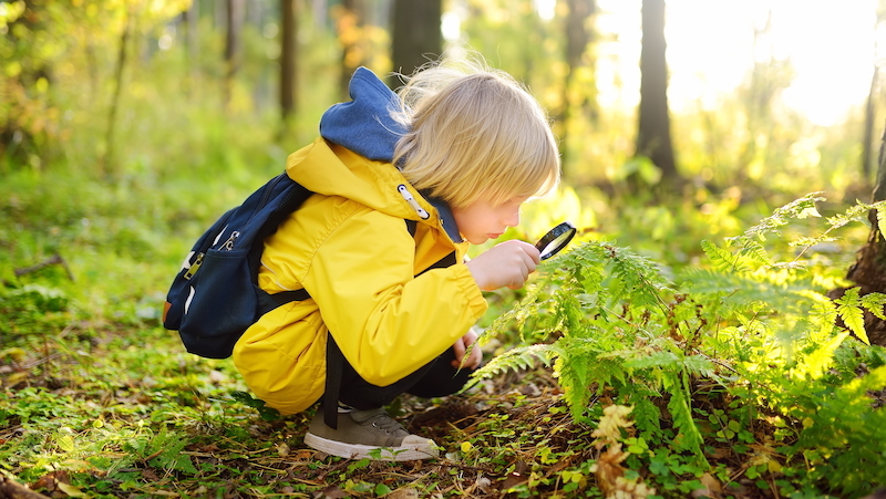Junge Kinder im Wald untersuchen Pflanzen mit einer Lupe, um die Natur zu entdecken.