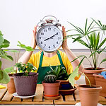 Alarm clock being held by a lady's hands above several potted plants.