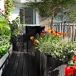 9 Small Space Gardening Ideas for Balconies, Patios, and Windowsills