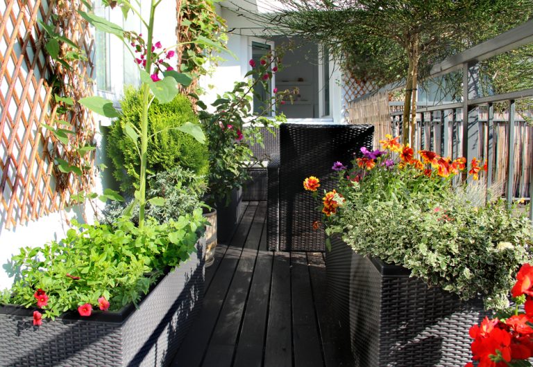9 Small Space Gardening Ideas for Balconies, Patios, and Windowsills