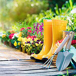 7 Sunlight, Temperature & Seasonal Gardening Basics