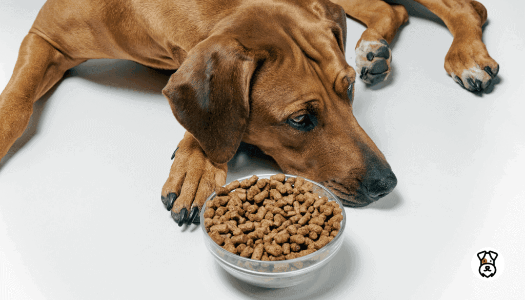 Best Dog Food For Sensitive Stomach 2