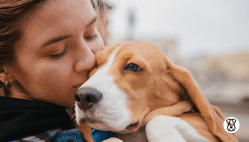 Most Affectionate Dog Breeds 2