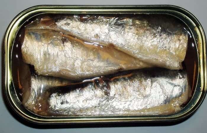 canned sardines
