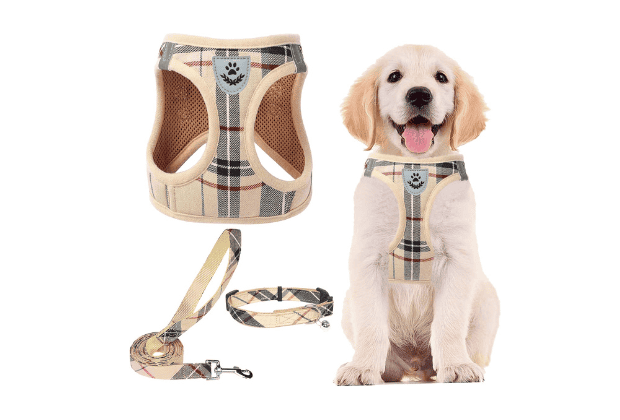 PUPTECK Adjustable Dog Harness Collar and Leash Set Product Image 620 x 420 px