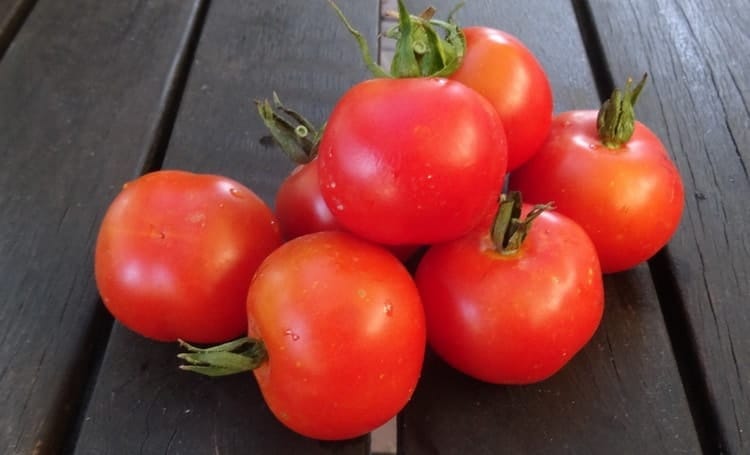 red ripe tomato