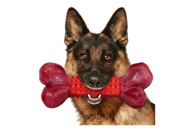 Apasiri Tough Dog Toys for Aggressive Chewers Product Image 620 x 420 px