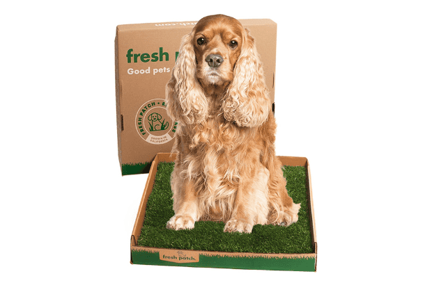 Fresh Patch Real Grass Patch Product Image 620 x 420 px