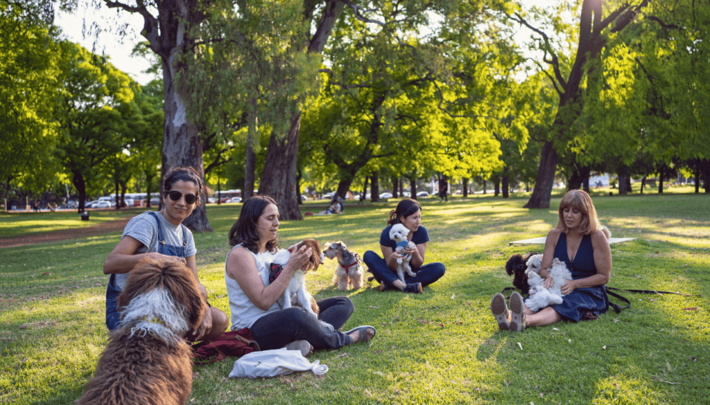 take your Dog to The Dog Park