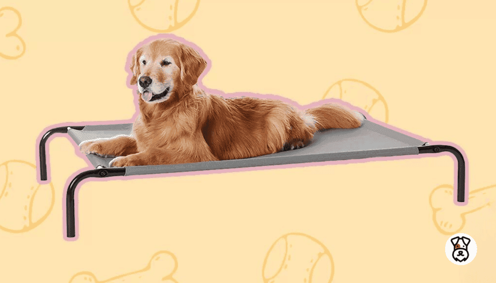 Amazon Basics Cooling Elevated Dog Bed Review