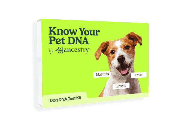 AncestryDNA Know Your Pet DNA