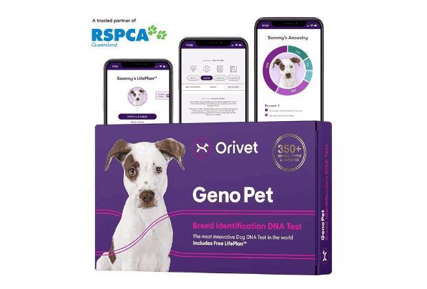 Orivet Dog DNA Test