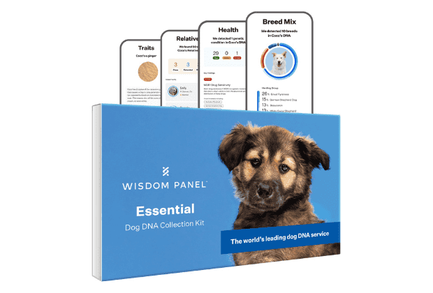 Wisdom Panel Dog DNA Kit