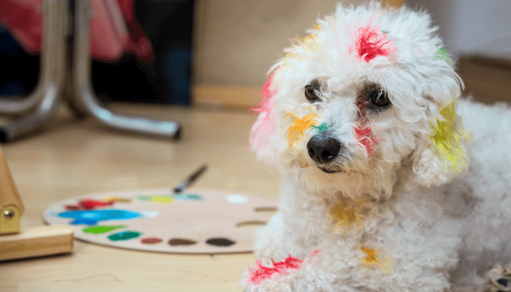 my dog ate a box of crayons