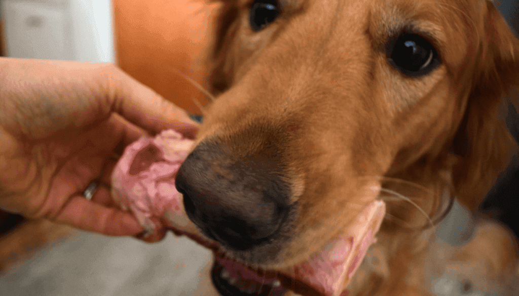 which bones are safe for puppies which bones are safe for puppies