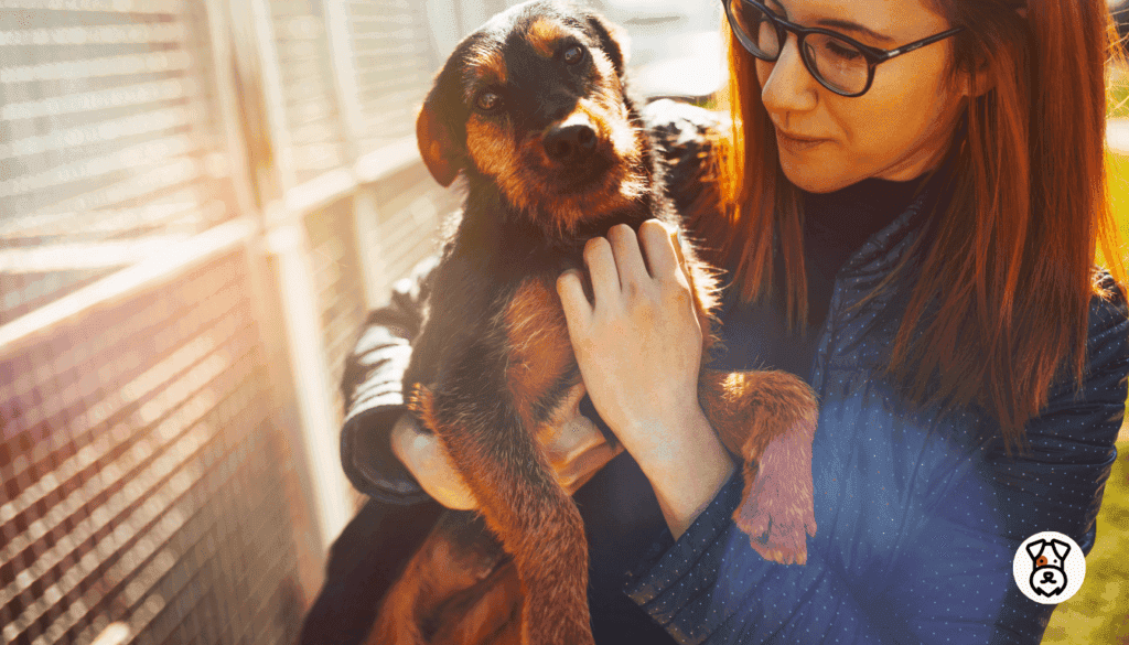 Common Mistakes People Make When Picking A Dog