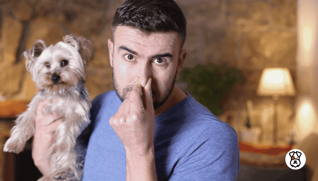 Dog Breeds That Fart a Lot