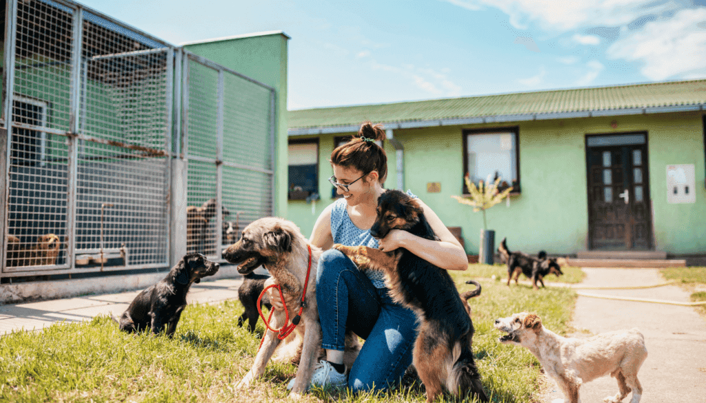 biggest mistakes people make when getting a dog biggest mistakes people make when getting a dog