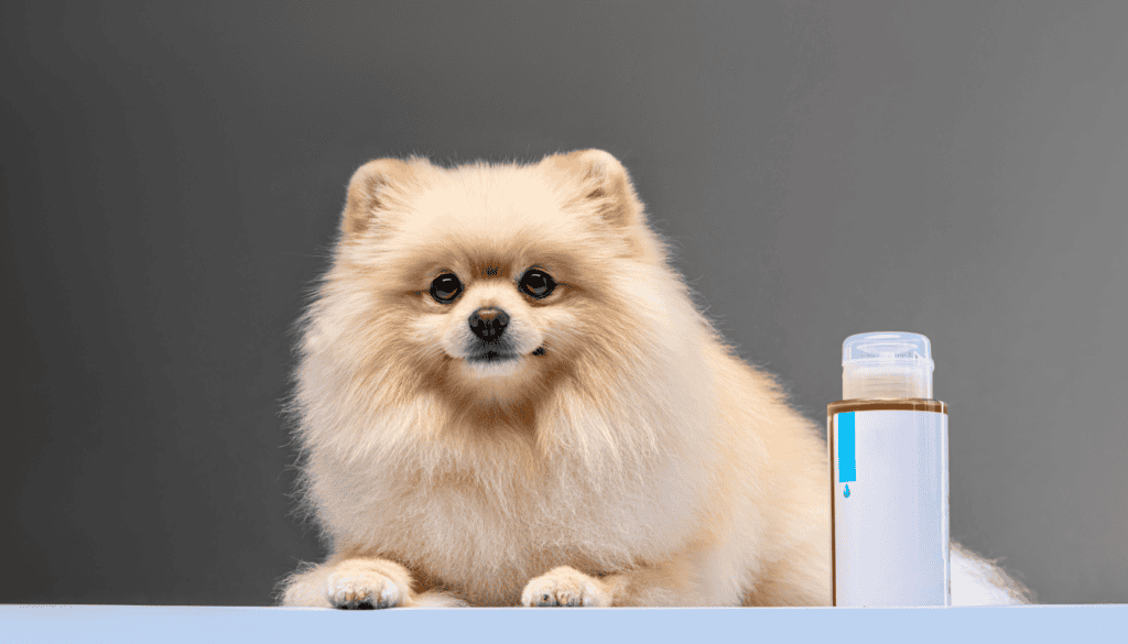 Benzoyl Peroxide Shampoo Benzoyl Peroxide Shampoo