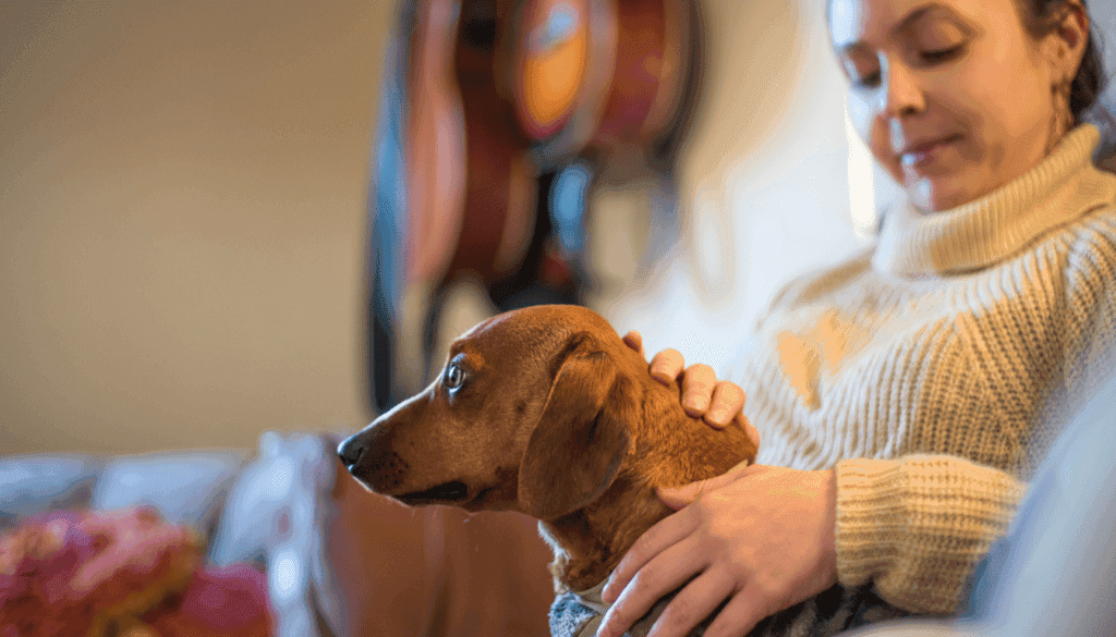 Dogs appreciate predictability in their human companions Dogs appreciate predictability in their human companions