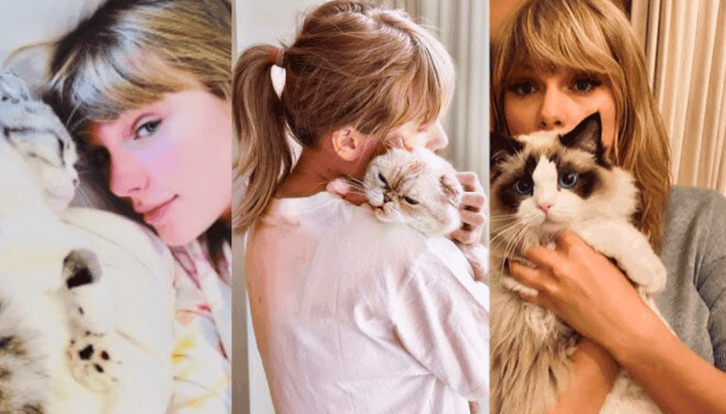 Taylor Swift with her cat Taylor Swift with her cat