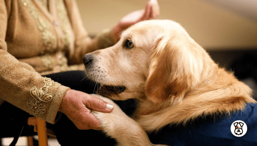 difference between working dog and pet dog