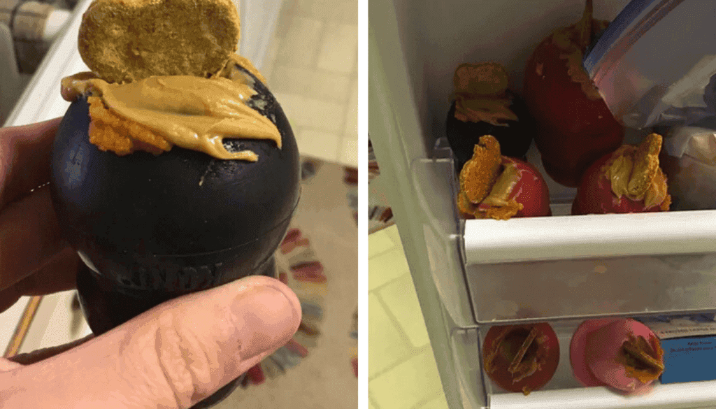 what can you put in your dogs kong what can you put in your dogs kong