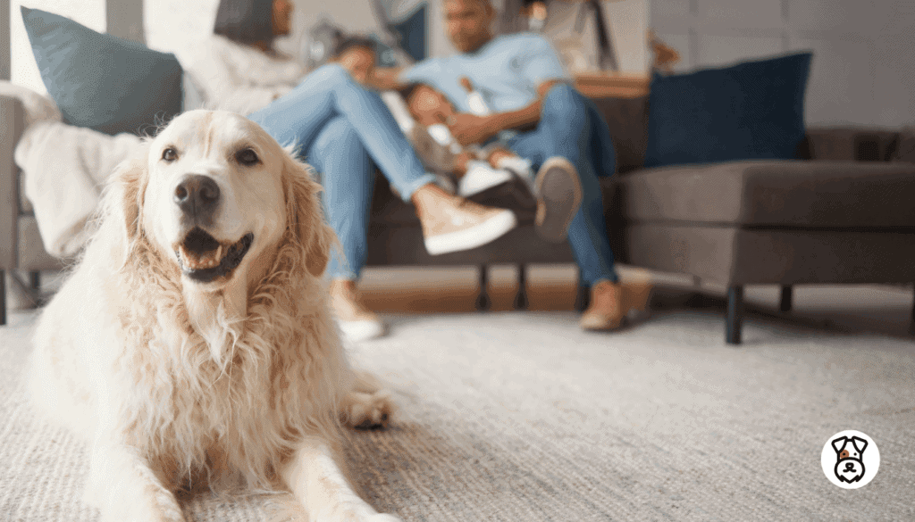 How to Remove Dog Odor From Your House