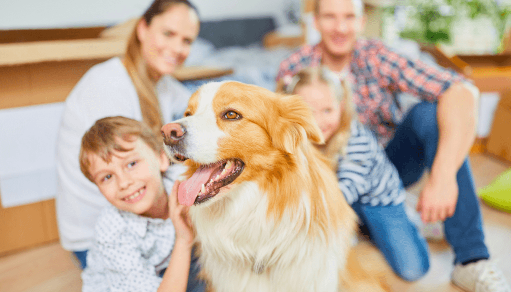 Keeping a home smelling fresh with a dog around can be tough Keeping a home smelling fresh with a dog around can be tough