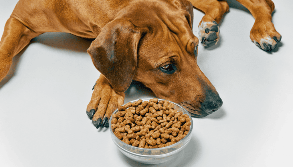 These chemicals are also used in human food