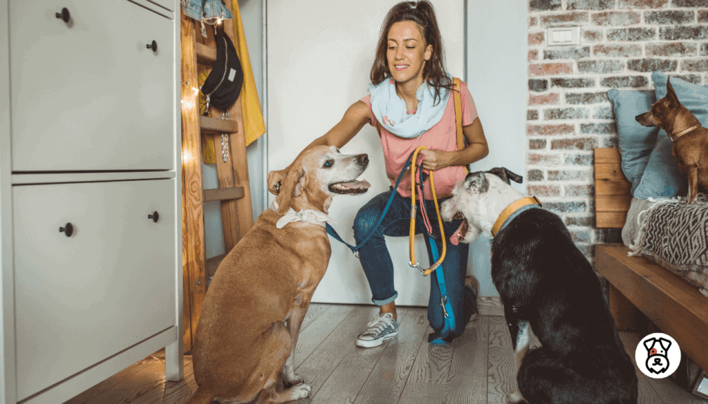 questions for a dog sitter