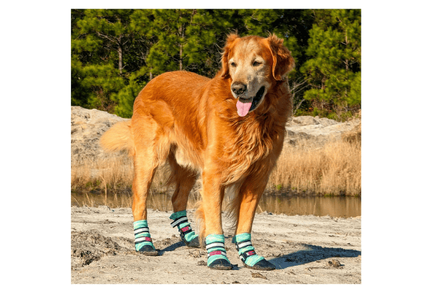 Bark Brite All Weather Dog Boots Bark Brite All Weather Dog Boots